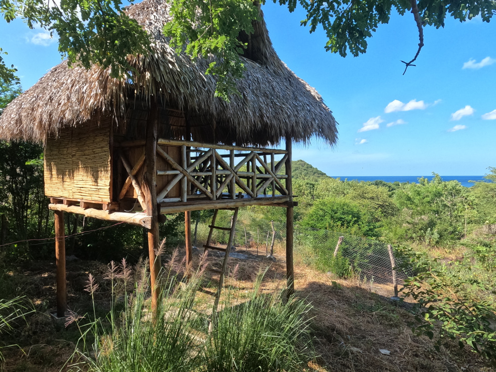 Private Palapa Main Website2