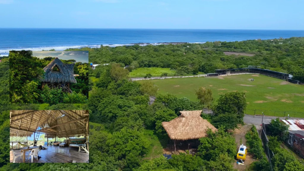 Palapa Surf hostel investment opportunity managing partners